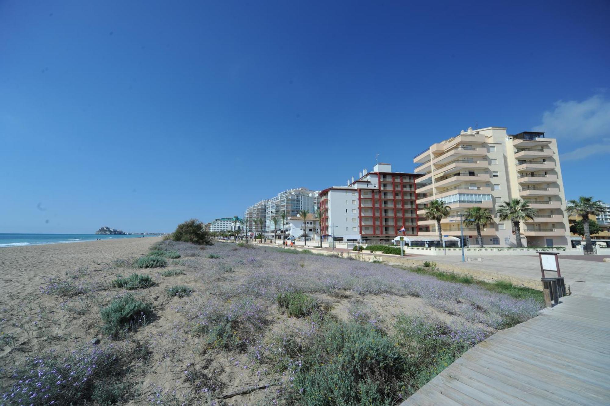 Appartamento Marina Vistamar Orangecosta Peñíscola Esterno foto