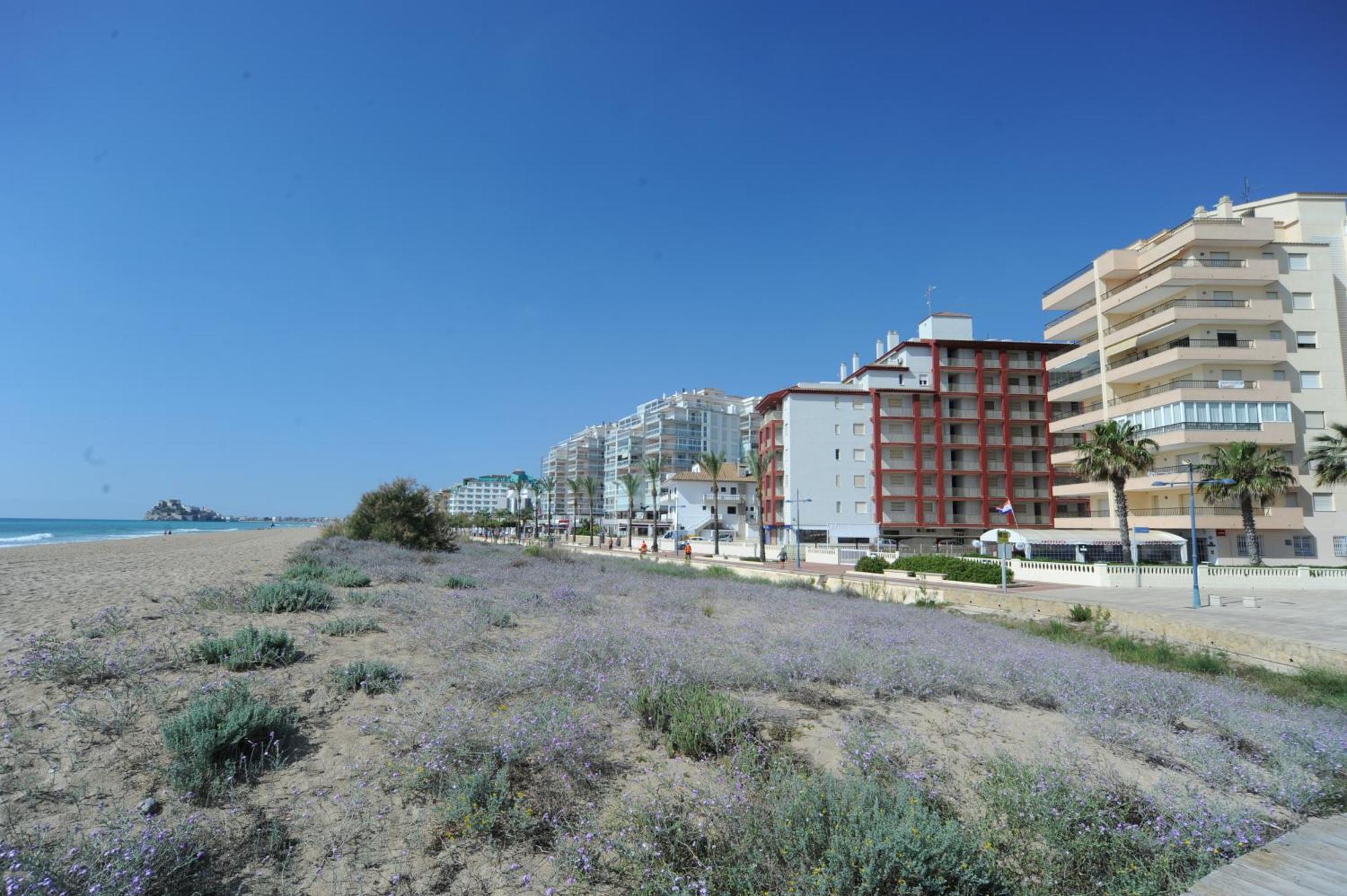 Appartamento Marina Vistamar Orangecosta Peñíscola Esterno foto